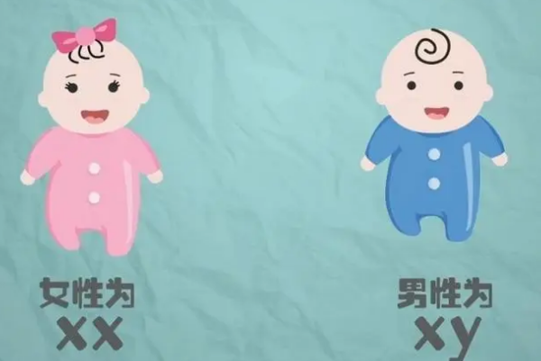 天津不孕不育三甲医院排名榜4家试管婴儿医院已公布